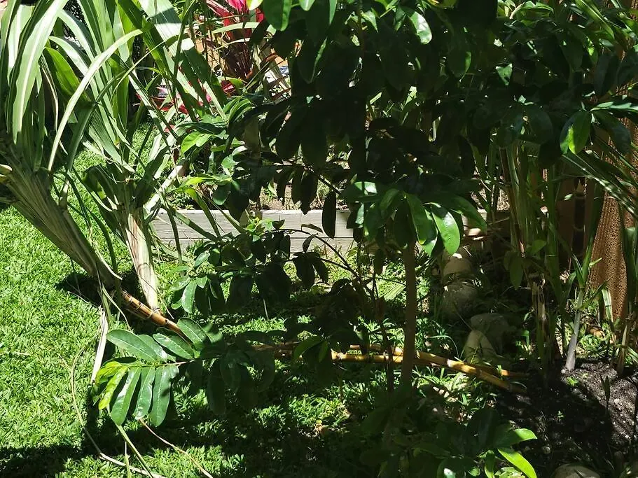 Ferienhaus Villa Heavenly View Ocho Rios